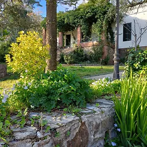 https://villa-aracenilla-7.es-andalucia.com