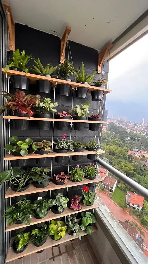 Paraiso En La Ciudad Medellin Colombia